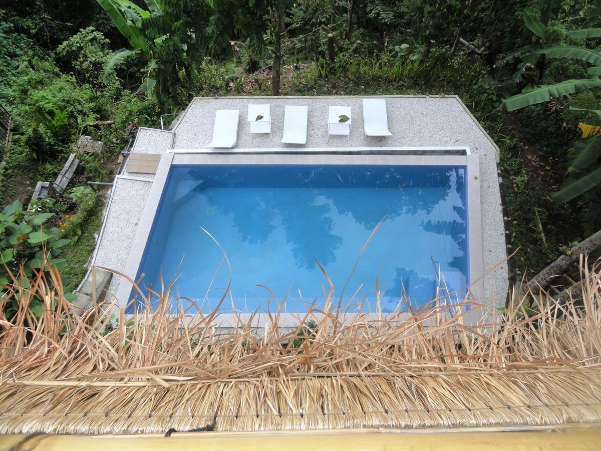 אובוד Putu Yoga Bungalow בריכת שחיה תמונה